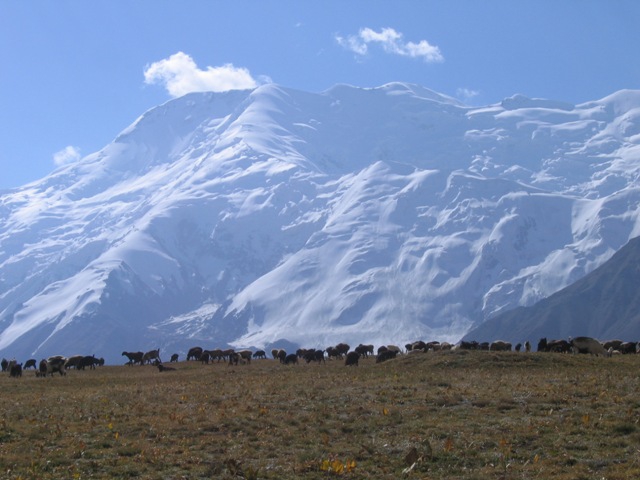 Высотные каникулы, или Лето на «пятерку» (Альпинизм, заалай, перевал, зулумарт, бергшрунд, долина, туристический, поход, маршрут, высота, акклиматизация, восхождение, горный, горная пятерка, памир, пик ленина, вершина, урицкого, дзержинского)