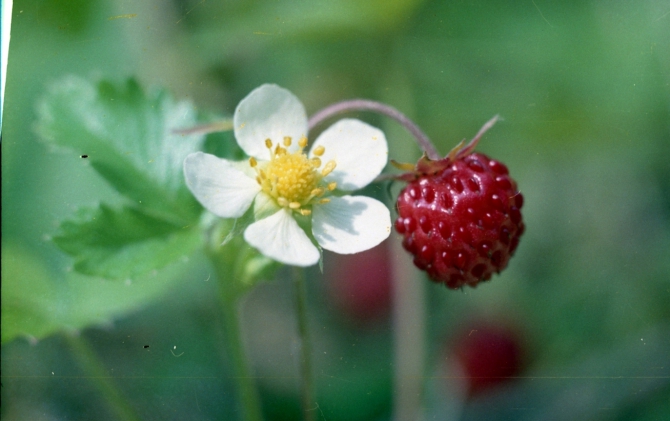 Ущелья Адырсу и Адылсу.Фото маршрутов в дополнение к описаниям (Альпинизм, уллу-тау, альпинистские маршруты)