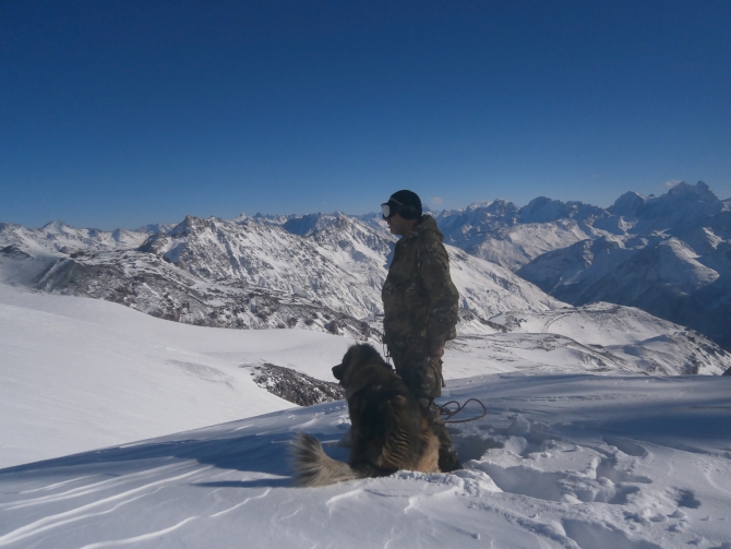 Верный друг - кавказец! (Альпинизм, эльбрус зимой, эльбрус, собака)