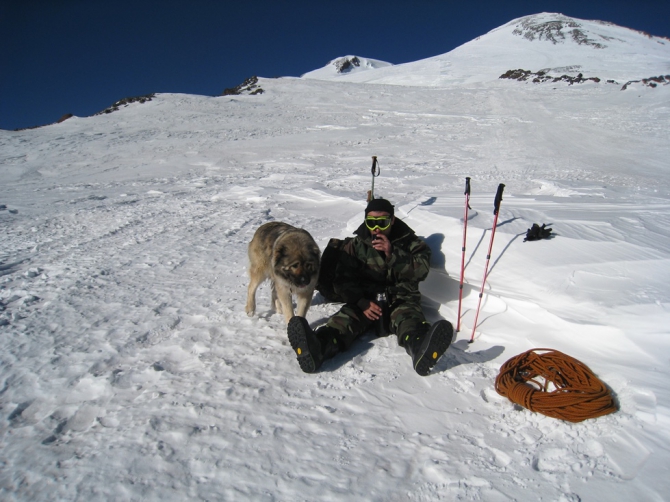 Верный друг - кавказец! (Альпинизм, эльбрус зимой, эльбрус, собака)