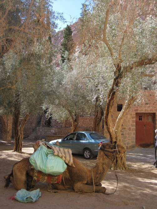 Дахабский Горный Клуб. Наш ответ Чемберлену. (Альпинизм, санта катерина, египет, синай)