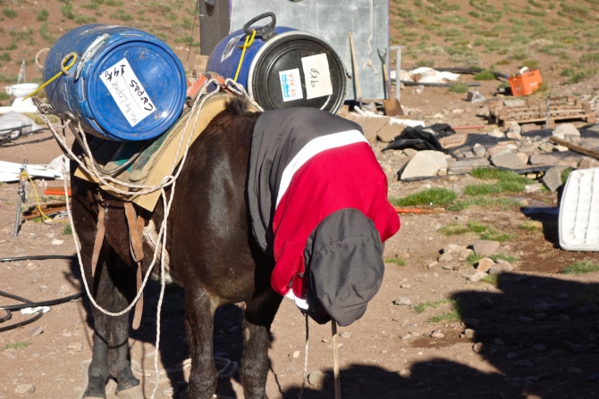 Аконкагуа в ноябре. Не так уж и страшна. (Альпинизм, южная америка, аргентина)