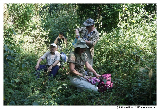 На приеме у короля Оку (Альпинизм, камерун, горный туризм, вулкан оку)