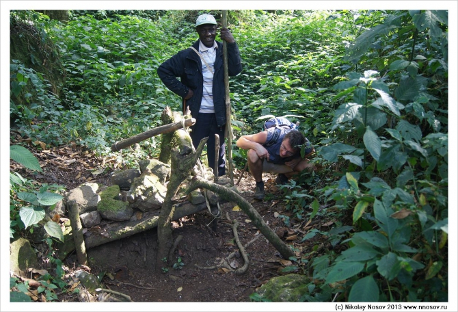 На приеме у короля Оку (Альпинизм, камерун, горный туризм, вулкан оку)