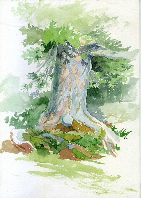 Еще одни Ергаки (Путешествия, творчество, живопись, саяны, рисунки, рисование, графика, акварель, пейзаж)