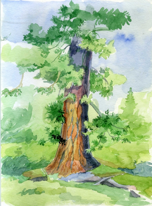 Еще одни Ергаки (Путешествия, творчество, живопись, саяны, рисунки, рисование, графика, акварель, пейзаж)