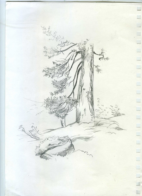 Еще одни Ергаки (Путешествия, творчество, живопись, саяны, рисунки, рисование, графика, акварель, пейзаж)