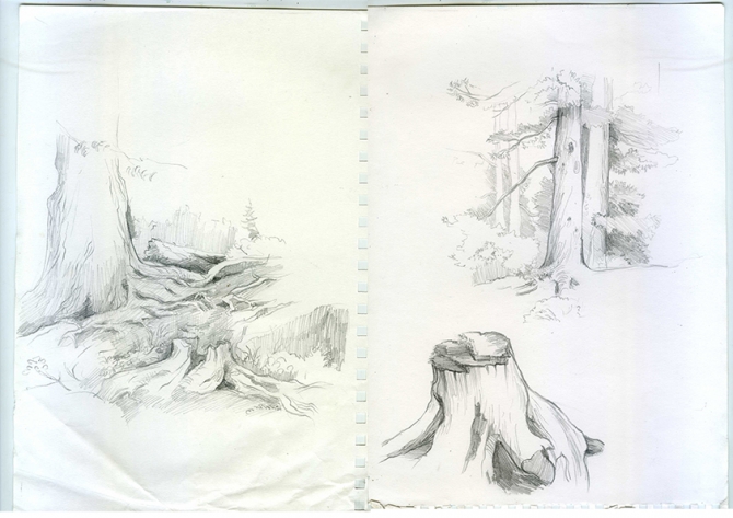 Еще одни Ергаки (Путешествия, творчество, живопись, саяны, рисунки, рисование, графика, акварель, пейзаж)