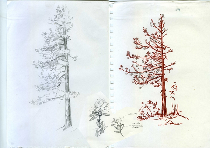 Еще одни Ергаки (Путешествия, творчество, живопись, саяны, рисунки, рисование, графика, акварель, пейзаж)