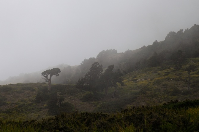 Не стандартный соло-трек на озеро Тиличо через перевал Месоканто. Непал. (Альпинизм, гималаи, аннапурна)