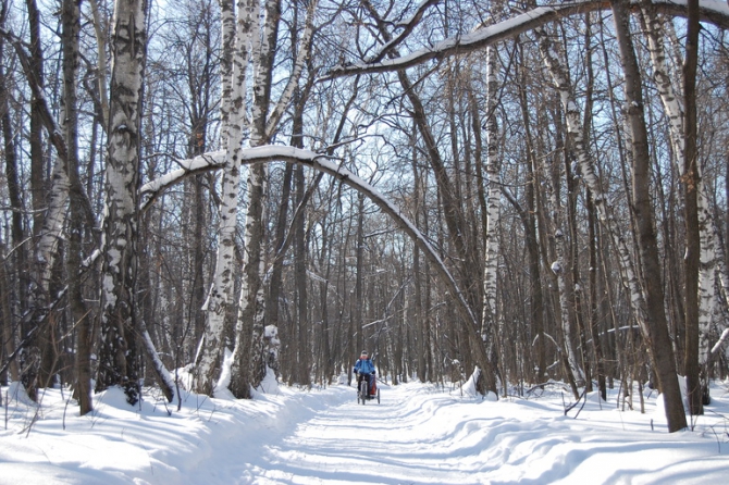 Какая у вас коляска для активного отдыха? (Вело, thule-chariot corsaire, детская коляска, дети, велосипед)