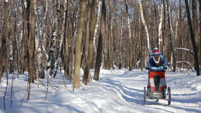Какая у вас коляска для активного отдыха? (Вело, thule-chariot corsaire, детская коляска, дети, велосипед)