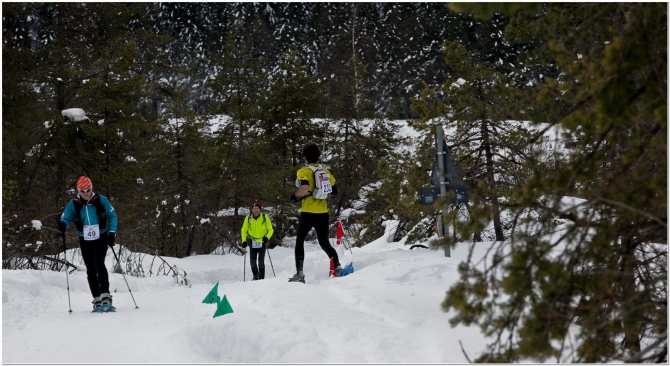 Ciaspalonga delle Marmarole. Марафон на снегоступах? Круто! (Мультигонки, pieve di cadore, снегоступы, италия)