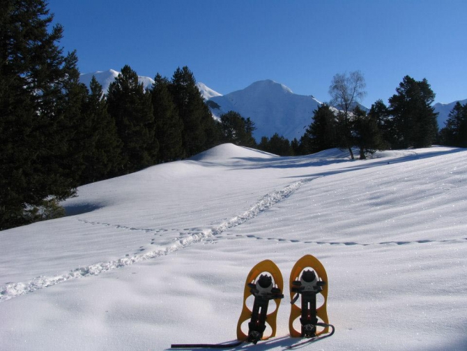 Чемпионат Европы по снегоступингу Foc de Neu (valls d'aneu, copa d'europa)