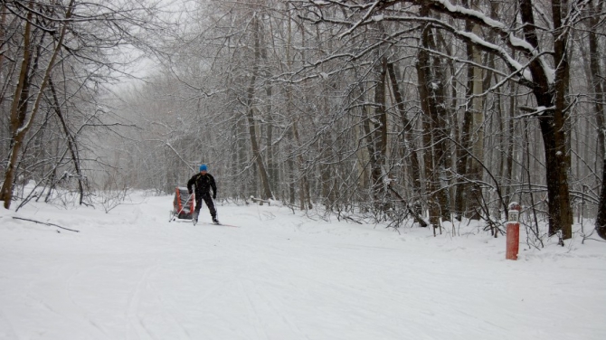 Вариант тренировки молодых родителей фанатично любящих беговые лыжи (thule, chariot, детская коляска)