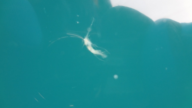 Байкал на велосипедах в выходные (Путешествия, лед, путешествия)