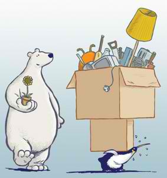 Технические работы на Риск.ру