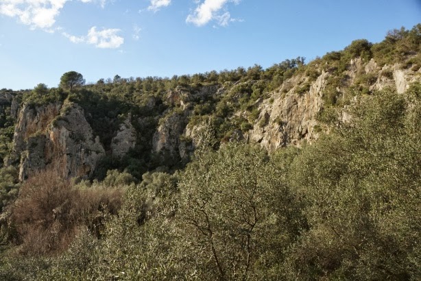 Понятия "наоборот". Денис Урубко (Скалолазание, италия, скалы, скалолазание)