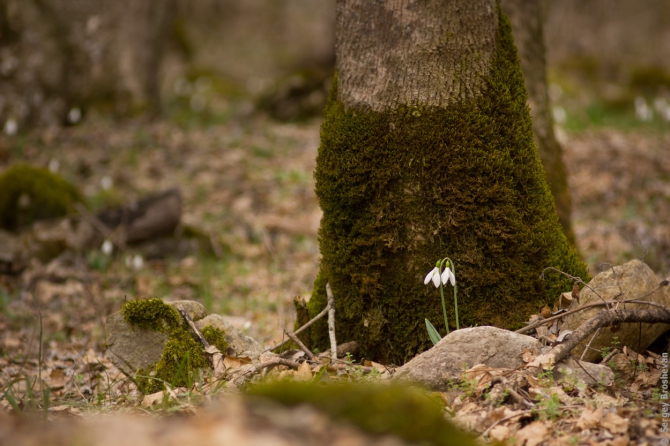 Крымская зима, 2 дня в походе - рассвет и звезды (Горный туризм, пвд, фото, ялта, яйла, айпетринская яйла, таракташская тропа)