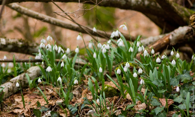 Крымская зима, 2 дня в походе - рассвет и звезды (Горный туризм, пвд, фото, ялта, яйла, айпетринская яйла, таракташская тропа)