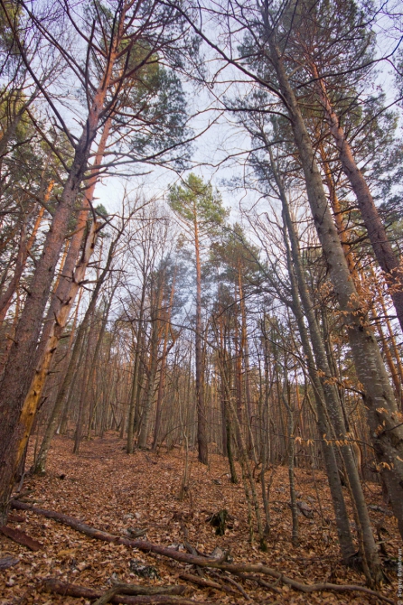 Крымская зима, 2 дня в походе - рассвет и звезды (Горный туризм, пвд, фото, ялта, яйла, айпетринская яйла, таракташская тропа)
