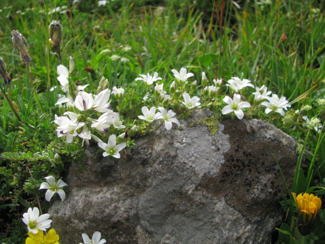 С международным женским днём, 8 марта всех рисковчанок! :)