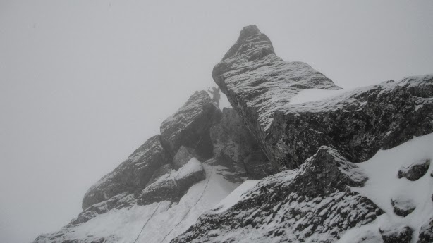 Трава – лучший друг татерника. Денис Урубко (Альпинизм, поляки, адам билецкий, татры)