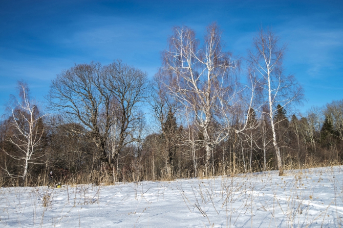 Новогодняя прогулка на Тхач. (Горный туризм)