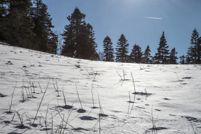 Новогодняя прогулка на Тхач. (Горный туризм)