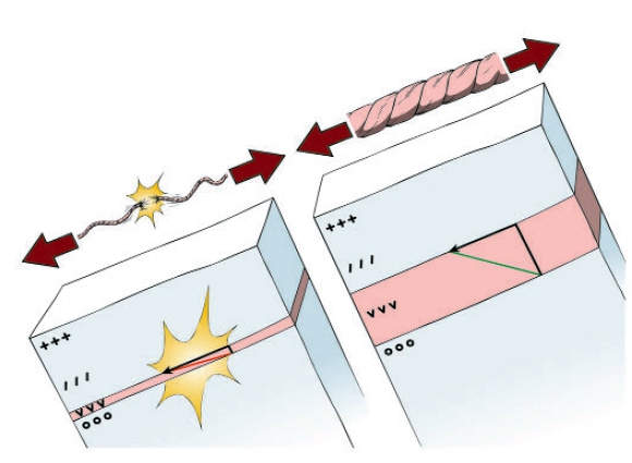 Диагностика снежной толщи. Часть 1. (Ски-тур, лавины, прогноз, лавинная безопасность, георг кронталер (georg kronthaler), бернхард ценке (bernhard zenke))