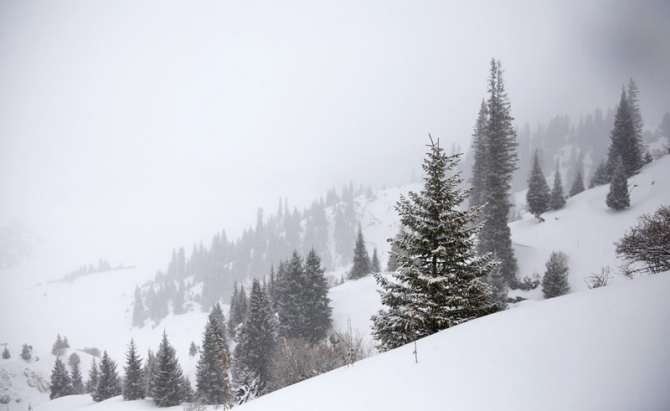 «Бесснежный» Каракол / ски-тур и бэккантри в Киргизии 2014 (Бэккантри/Фрирайд, snow sense, алекс кузмицкий, фрирайд, пржевальск, фрирайд-школа, киргизия, скитур, минигид)