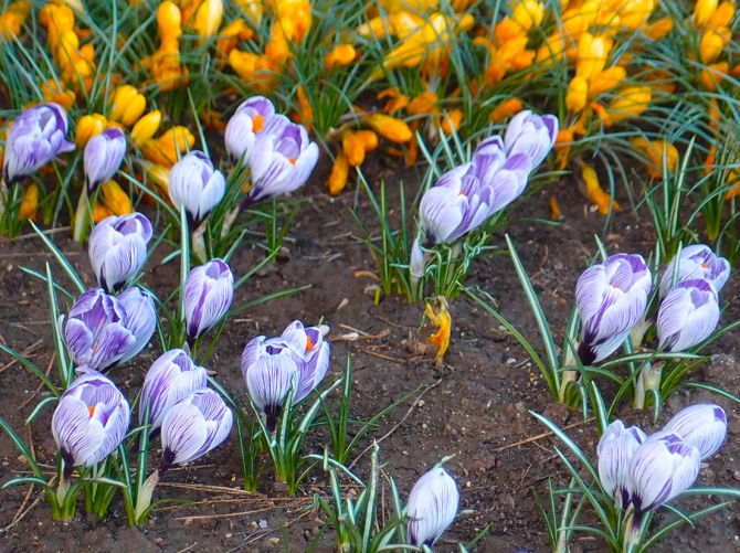 "Ночной дозор". Новый маршрут на Алупкинской (Альпинизм, алупкинская, пугачев, крым, первопроход, загирняк)