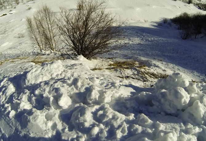 5-дневный скитур курс в Гудаури / модуль ski-tour-1 RMGA (фоторепорт, Горные лыжи/Сноуборд, григорий минцев, федор фарберов, caa, лавинные курсы, школа гидов, грузия, обучение, алекс кузмицкий)