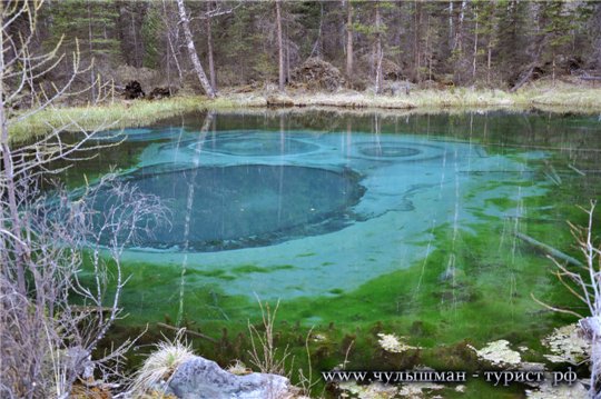 Голубое гейзеровое озеро на Алтае. (турклуб чулышман, лыжные походы, фото-туры в долину чулышмана, экстрим на алтае, tourist altai, фото-туры на палто укок, велобарнаул, отдых дикарём на алтае, рыбалка на алтае, вело-туризм и вело-отдых на алтае, путешествие зимой, лыжные походы на алтае, кузя, алтай вело-фото, осенние фото-туры на алтай, вело-туры на алтай, вело-туристический алтай, экстрим на лыжах, отдых на телецком озере, отдых дикарями на алтае, лыжня здоровья, туризм и отдых на алтае, путешествия по россии на авто, туры на алтай, на алтай с палатками, туризм на алтае, новогодние туры, экспедиции по сибири, автозаброска на алтай, легенды алтая, фото горного алтая, автотуризм на алтае, семейный отдых на алтае, конный туризм на алтае, горный туризм на алтае, рафтинг на алтае, конные походы, достопримечательности алтая, велотуризм на алтае, пешком по алтаю, алтай фото, алтай туристический, алтай сплав, отдых алтай, чулышман, горный алтай, путешествия по алтаю, сплав по катуни)