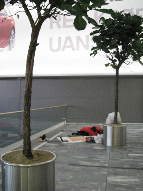 I just wanna have fun! (Альпинизм, шпицберген, ice climbing fest contest)