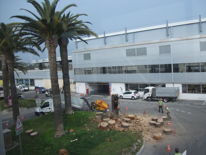 Гран Парадизо, Италия (Ски-тур, ски-тур, ски-альпинизм)