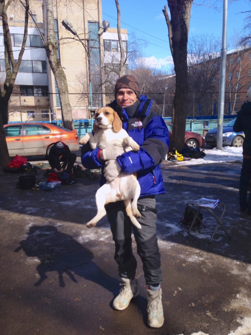 Весенние ласточки. Результаты (Ледолазание/drytoolling, фаисм, krukonogi.com, день сурка, ледолазание)