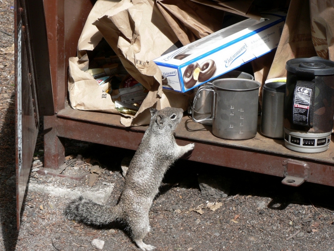 Йосемиты (Yosemite). Особенности. Назойливые советы. (Альпинизм, el capitan, эль капитан, big wall)