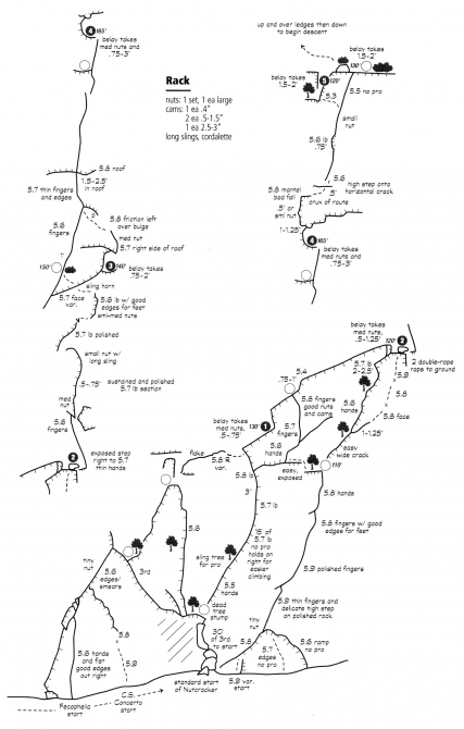 Йосемиты (Yosemite). Особенности. Назойливые советы. (Бэккантри/Фрирайд, big wall, эль капитан, el capitan)