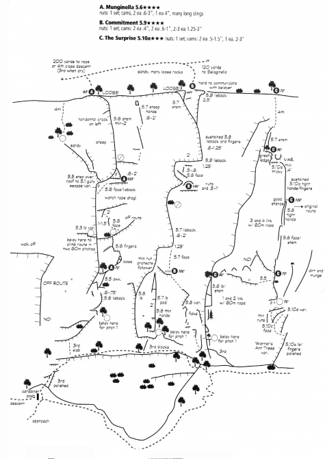 Йосемиты (Yosemite). Особенности. Назойливые советы. (Бэккантри/Фрирайд, big wall, эль капитан, el capitan)