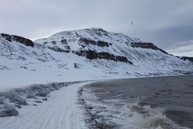 Шпицберген фест. Северный лед Свальбарда. Рассказ + техническая инфа (Альпинизм, spitsbergen-2014)