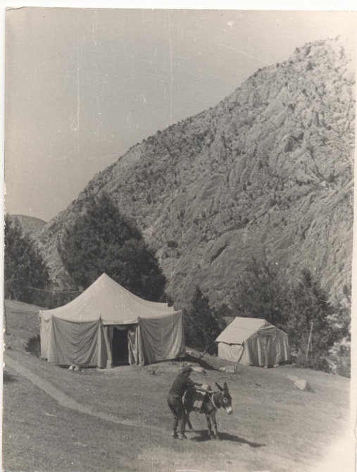 Про ишачка из Дугобы. (Альпинизм, ишачек., aksakal, дугоба)