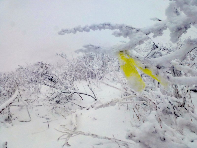 В окрестностях Бишкека в минувшие выходные проведены соревнования по драйтулингу (Скайраннинг)