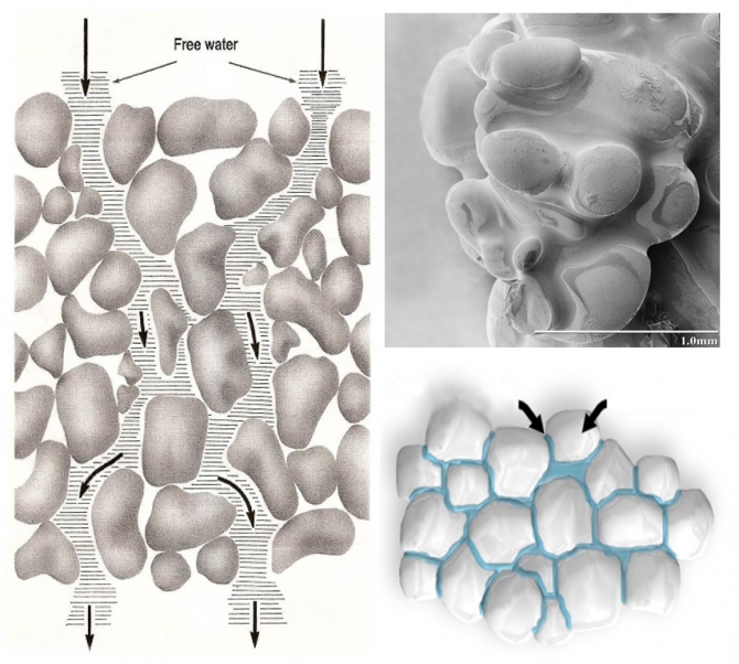 Мокрые лавины. Зарождение. Прогноз. (Альпинизм, весна, лавинная безопасность, мокрые снежные лавины)