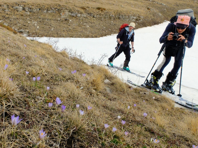 Как на Лагонаки девушки пипсами мерялись (Бэккантри/Фрирайд, бэккантри, оштен)