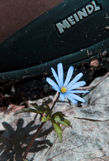 Как на Лагонаки девушки пипсами мерялись (Бэккантри/Фрирайд, бэккантри, оштен)