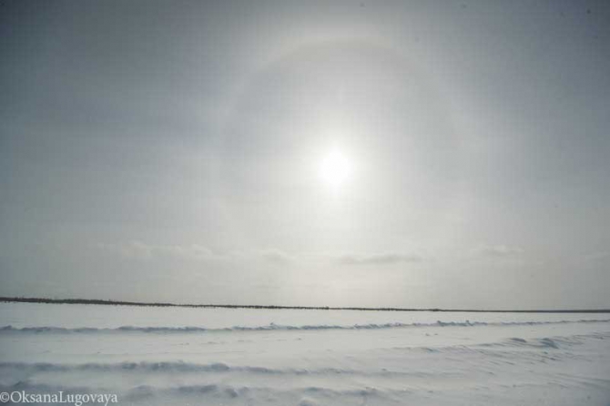 17 апреля 2014г. успешно завершилась молодежная зимняя велоэкспедиция "Дорогами памяти". (якутия велосипед экспедиция оймякон черский)