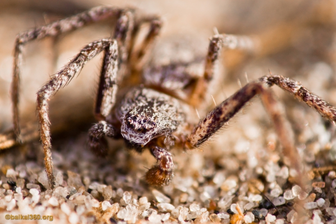 Ледяной Байкал. Фотоотчет с перехода по Байкалу (Путешествия, 360, 3d panorama, 3d панорама, панорама, виртуальный тур, panorama, baikal360, virtual tour, baikal, байкал360)