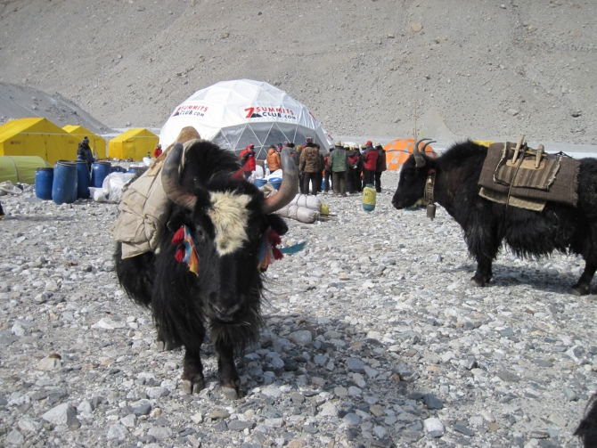 Новости экспедиции на Эверест: идет этап активной акклиматизации (Альпинизм)