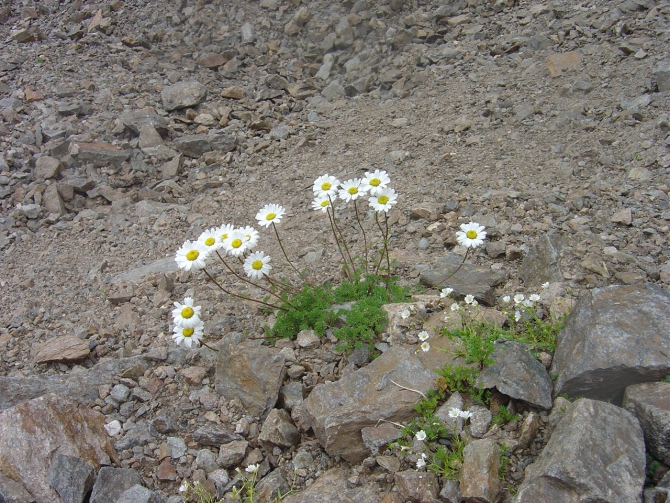 Давайте, ещё раз вспомним...